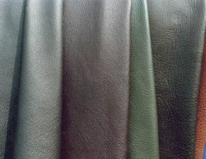 蘭州布料皮革批發(fā)